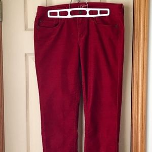 Beautiful soft cord pants.  Stretch and comfort.